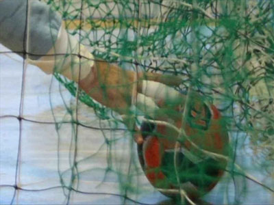 Δεν άντεξε απέναντι στο φαβορί η Εθνική χάντμπολ Γυναικών για το Παγκόσμιο