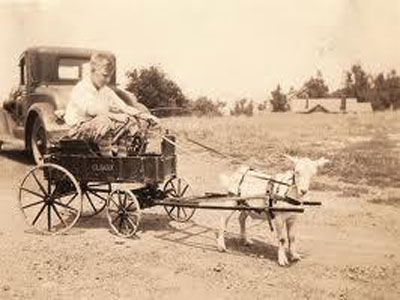 Συμβουλές ζωής από έναν γεροβοσκό