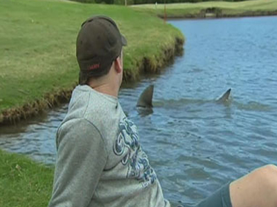Καρχαρίες ζουν σε λίμνη γηπέδου του γκολφ!