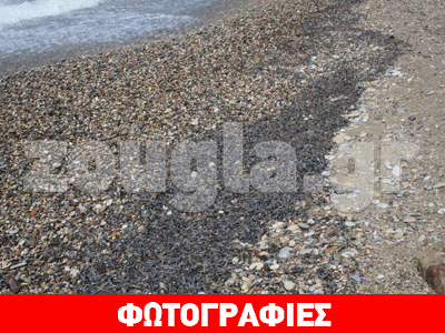 Μυστήριο με χιλιάδες νεκρά ψάρια που ξεβράστηκαν στη Σάμο