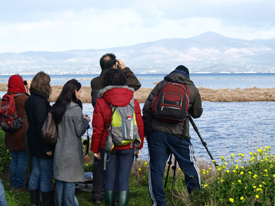 Παρατήρηση πουλιών στη λιμνοθάλασσα του Ωρωπού