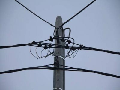 Διακοπή ηλεκτροδότησης λόγω πτώσης δένδρου στην Εκάλη