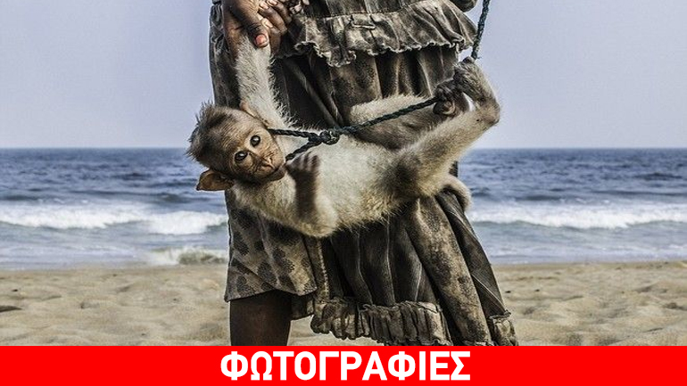 Βραβευμένες φωτογραφίες που μας ταξιδεύουν…