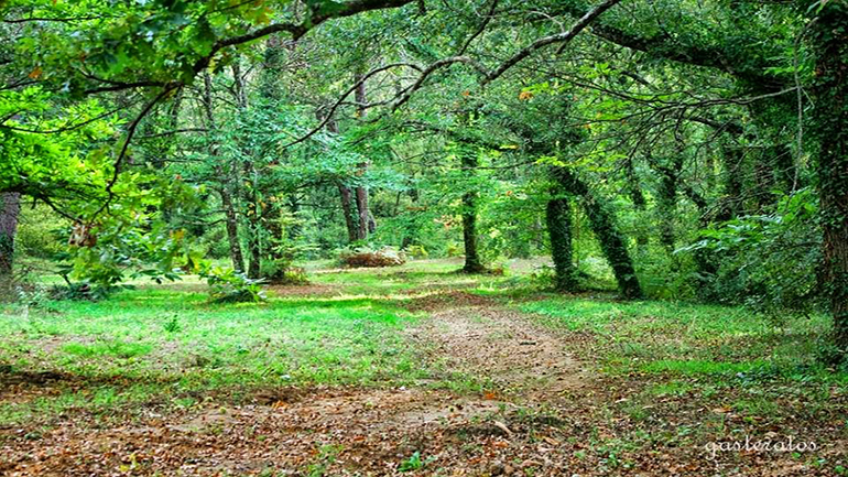 Έγγραφο του WWF προς τον πρωθυπουργό για τις περιβαλλοντικές προτεραιότητες