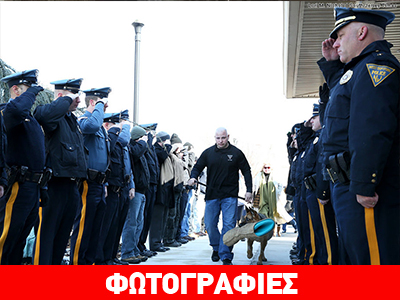 Απόδοση τιμών σε αστυνομικό σκύλο που υπεβλήθη σε ευθανασία