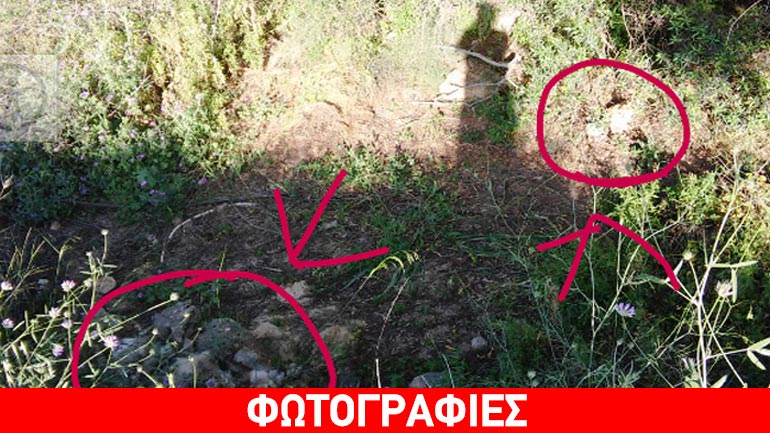 Μαζική δολοφονία ζώων στα Χανιά