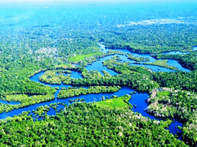 Αμαζόνιος: Κλιματική αλλαγή και κονκισταδόρες δημιούργησαν το τροπικό δάσος Αμαζόνιος: Κλιματική αλλαγή και κονκισταδόρες δημιούργησαν το τροπικό δάσος