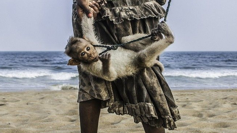 Μια μικρή ζητιάνα φωτογραφίζεται με τον καλύτερό της φίλο, μια μαϊμού στην παραλία Τσενάι