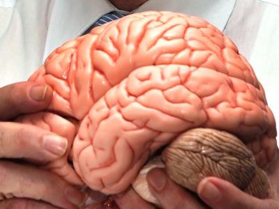 Βρήκαν τον πομπό των κακών προαισθημάτων στον εγκέφαλο – ελπίδα για τους καταθλιπτικούς