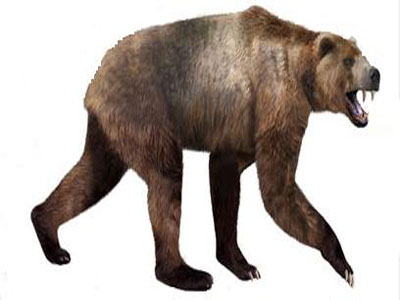 Γιγάντια αρκούδα-αγριοθήριο ανακαλύφθηκε στα Γρεβενά