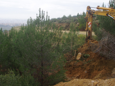 WWF: «Η Βουλή ψήφισε δασοκτόνο νόμο»