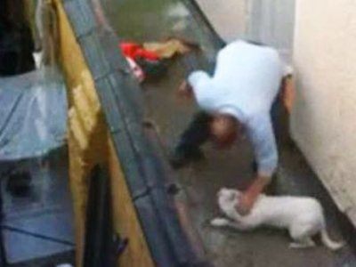 Κακοποίησε σκύλο και τον λιντσάρανε οι γείτονες!