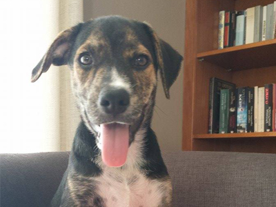 Η Καλυψώ ψάχνει την Ιθάκη της!