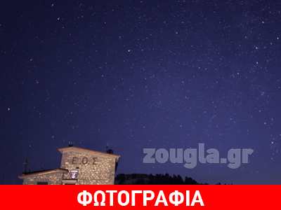 Απογοήτευσαν οι… Καμηλοπαρδαλίδες Απογοήτευσαν οι… Καμηλοπαρδαλίδες