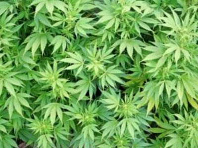 Συλλήψεις για ναρκωτικά στο Παγκράτι και το Βύρωνα