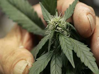 Συνελήφθη στο Βόλο για διακίνηση κάνναβης