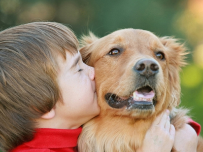 Το 98% των μαθητών ζητά την αυστηρή τιμωρία όσων κακοποιούν ζώα