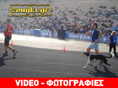 Η πραγματική σταρ του Μαραθώνιου έχει… τέσσερα πόδια!