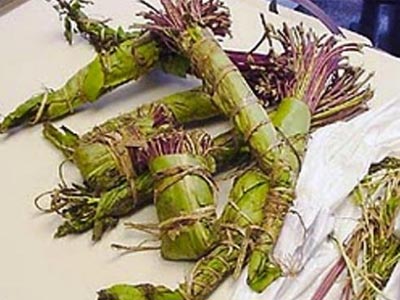 Προσπάθησε να περάσει ναρκωτικά στη χώρα μας