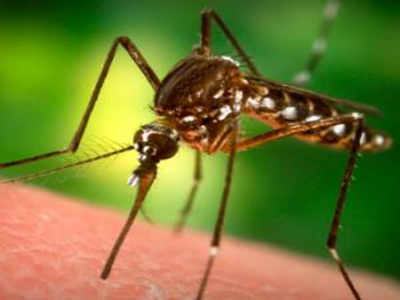 Συνεχίζονται οι ψεκασμοί στον Νομό Θεσσαλονίκης κατά του ιού