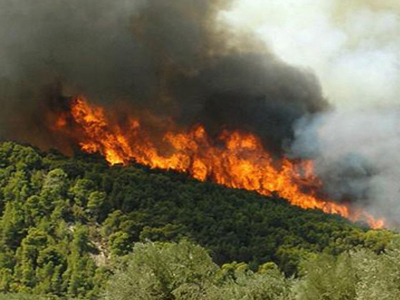 Υπό έλεγχο η φωτιά στα Λεχαινά Ηλείας