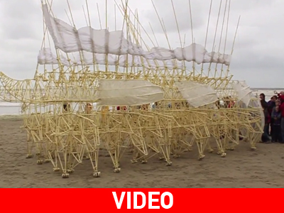 Το «τέρας της θαλάσσης», ένα πανέμορφο, αυτόνομο, κινούμενο γλυπτό!