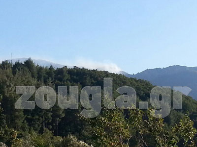 Πυρκαγιά σε δάσος στην Καρδίτσα