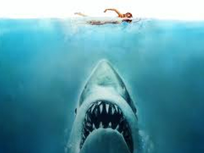 Ξεκινάει μαραθώνιος κολυμβητικός άθλος με εμπόδια τους… καρχαρίες