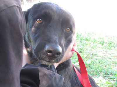 Μια πανέμορφη Φάτσα θέλει να γίνει δική σας!