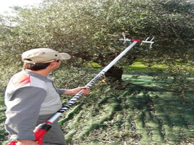 Αγρότης δήλωνε εισόδημα 1.605 ευρώ και ήταν… εκατομμυριούχος!