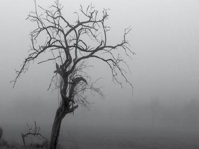 Ημερίδα για τις «Μεταμορφώσεις της Μελαγχολίας»