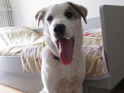 Βοηθήστε τη Νεφέλη να μην επιστρέψει ποτέ ξανά στους δρόμους