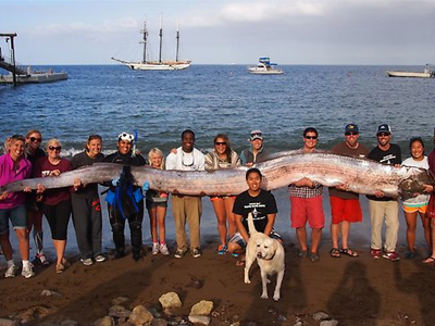 ΗΠΑ: Αναμένουν τεράστιο σεισμό βασιζόμενοι σε… αρχαίους μύθους!