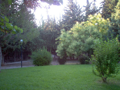 Άγρια δολοφονημένος άνδρας βρέθηκε στο άλσος της Καισαριανής