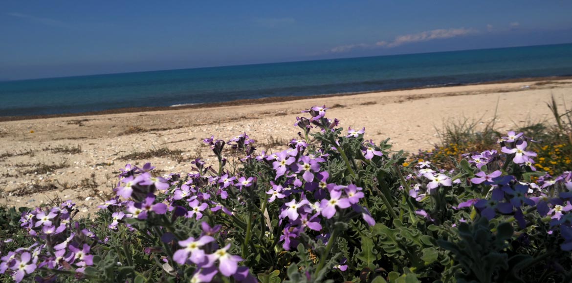 Έχουμε άνοιξη, μην το ξεχνάμε