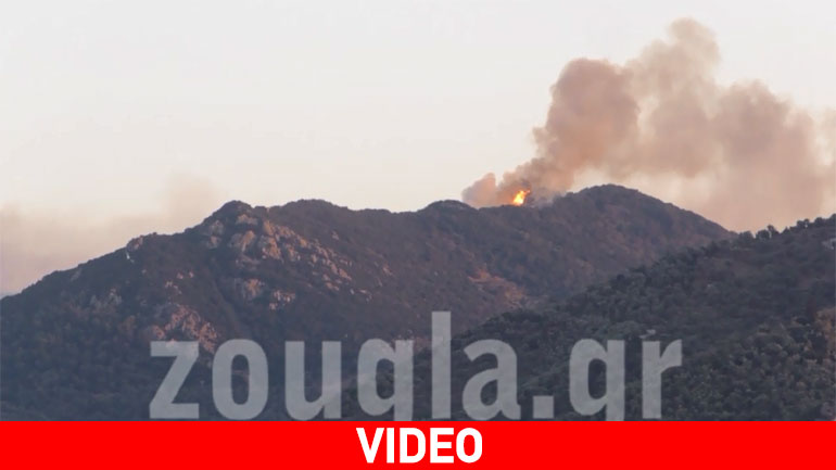 Μυτιλήνη: Καλά νέα από το πύρινο μέτωπο – συνεχίζεται παράλληλα το ταξίδι για χιλιάδες μετανάστες