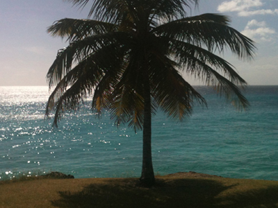 Παράδεισοι δεν υπάρχουν πια