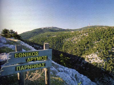 Όμορφες νύχτες προσφοράς στην Πάρνηθα…