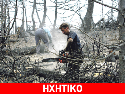 Έντονες αντιδράσεις για τις αλλαγές στην Ειδική Γραμματεία Δασών