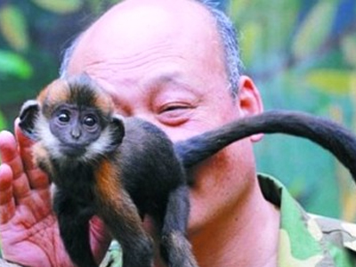 Απίστευτη αφοσίωση φροντιστή σε πιθηκάκι ζωολογικού κήπου…