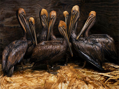 Βραβείο για φωτογραφία περιβαλλοντικού… ολέθρου