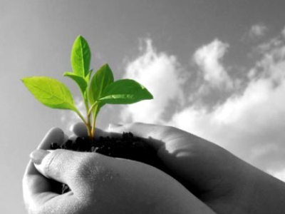 Έναρξη δημόσιου διαλόγου για την πράσινη ανάπτυξη