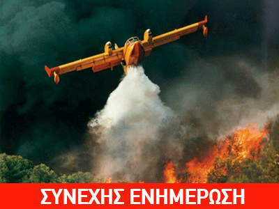 Πυρκαγιά σε δάσος στα Πολιτικά Ευβοίας