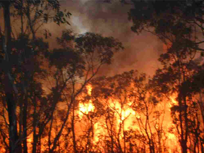 Ανοιχτή πρόσκληση συμμετοχής σε δράση πρόληψης δασικών πυρκαγιών