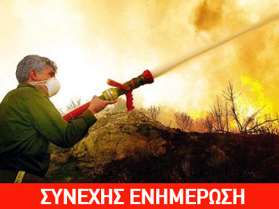 Πυρκαγιά σε δάσος κοντά στη Μεγαλόπολη