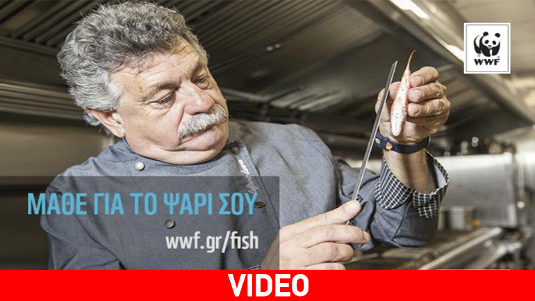 WWF: Τρομακτικά τα στοιχεία της υπεραλίευσης στη Μεσόγειο
