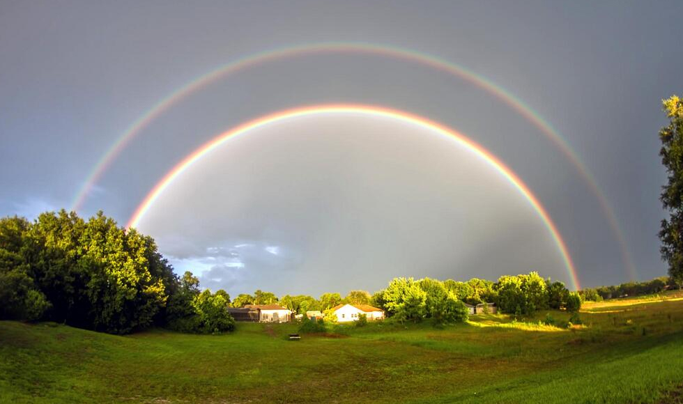 Διπλή ομορφιά