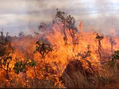 Πυρκαγιά στη Σορωνή Ρόδου