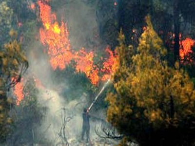 Πυρκαγιά κατέκαψε αγροτική έκταση στην Κυριάννα Ρεθύμνου