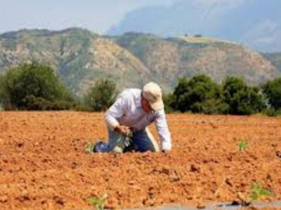 Αποζημιώνονται οι αγρότες της δυτικής Ελλάδας